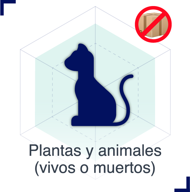 Artículos prohibidos | Plantas y animales (vivos o muertos)